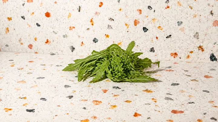 Arugula (Rocket)