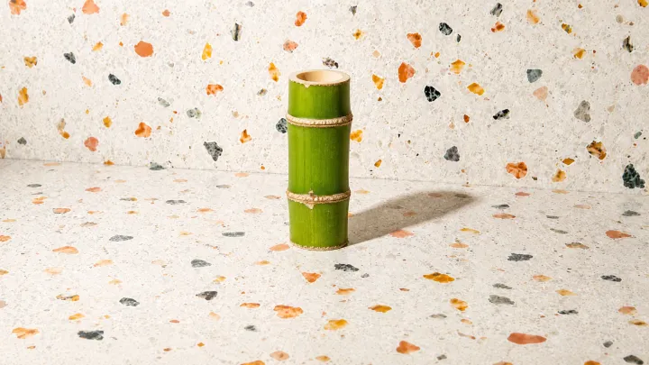 Bamboo