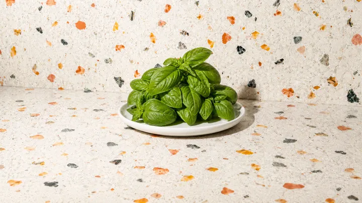 Basil