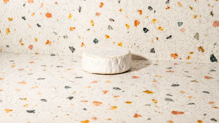 Camembert Cheese
