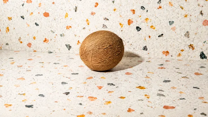 Coconut