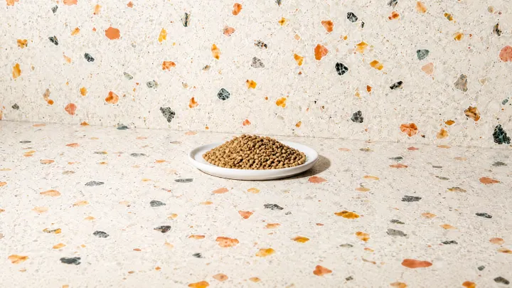Coriander Seed