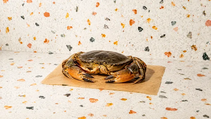 Crab