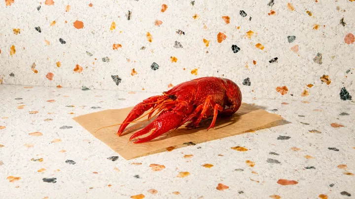 Crawfish (Crayfish)