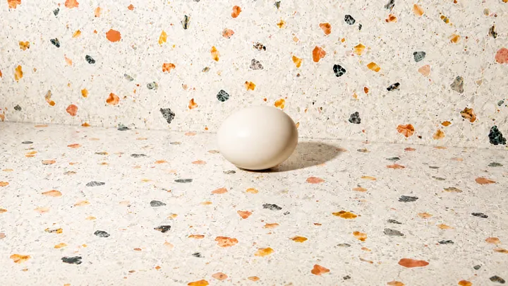 Duck Egg