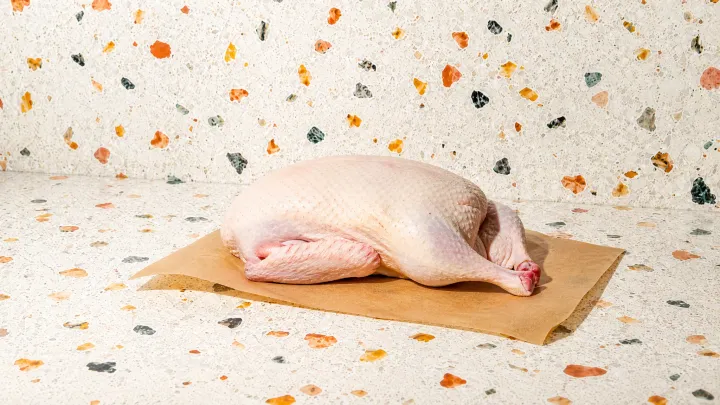 Duck