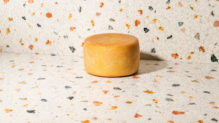 Fontina