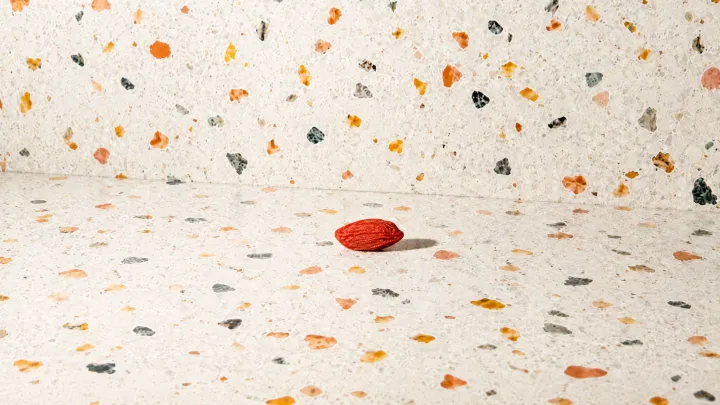 Goji Berry