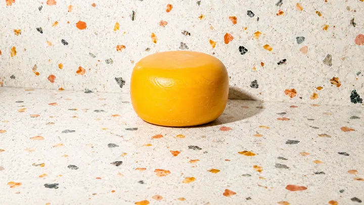 Gouda Cheese