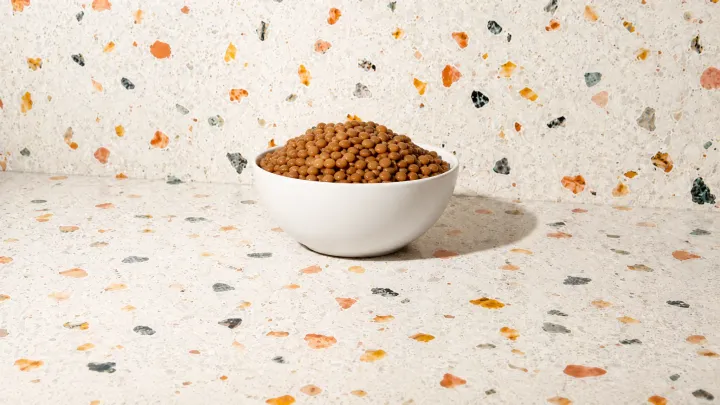 Lentil