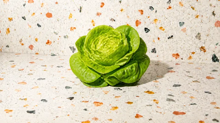 Lettuce