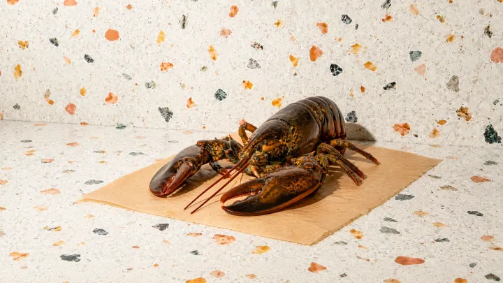 Lobster
