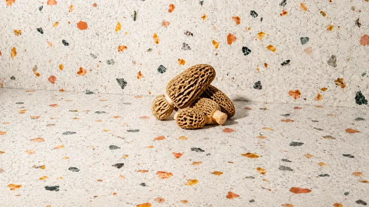Morel Mushrooms