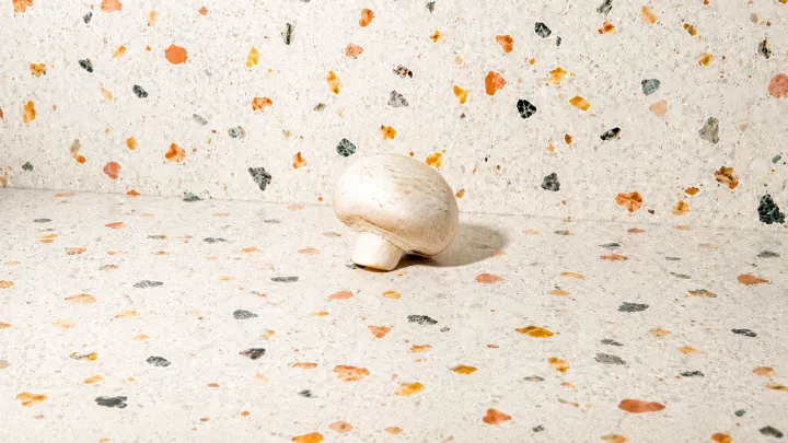 White Button Mushroom