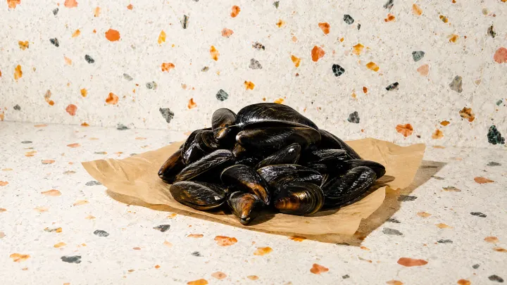 Mussels