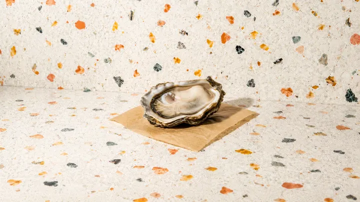 Oyster