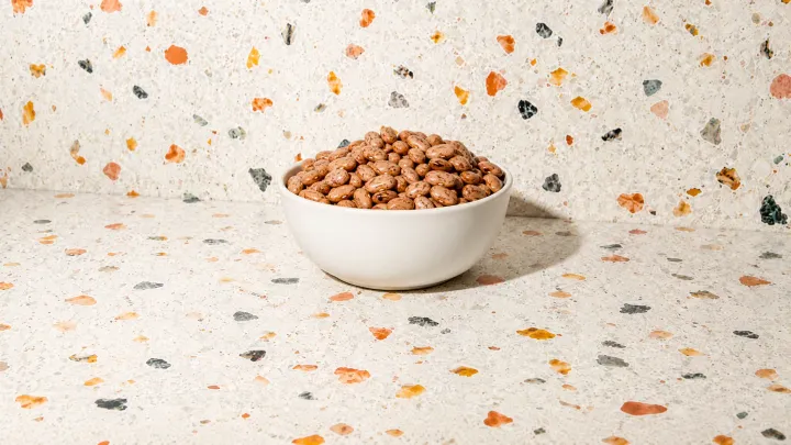 Pinto Bean
