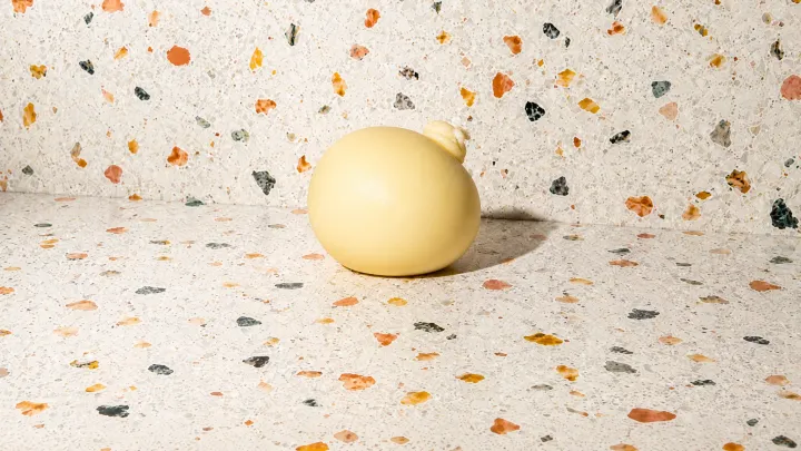 Provolone