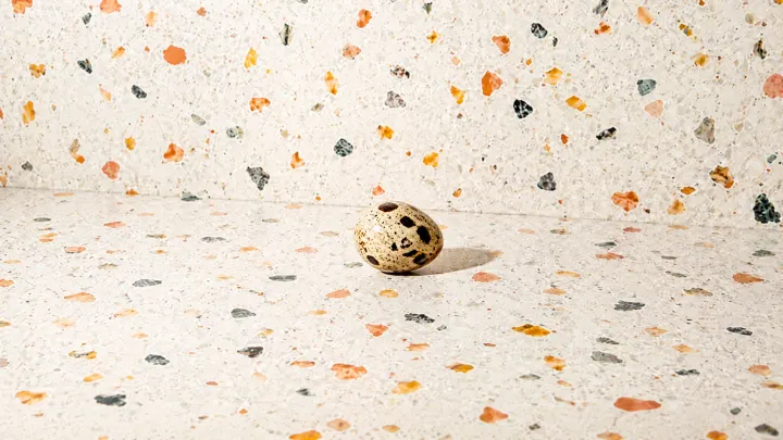 Quail Egg