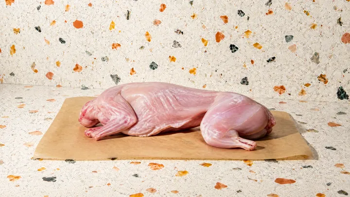 Rabbit