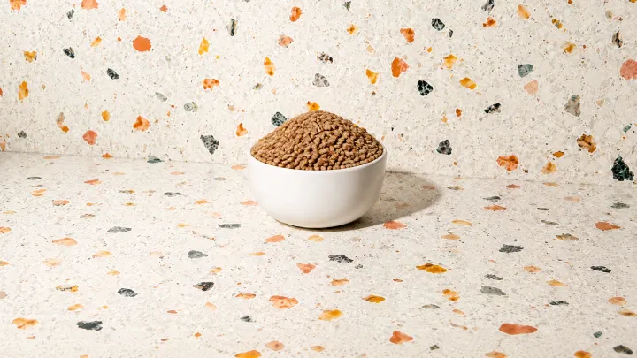 Rye