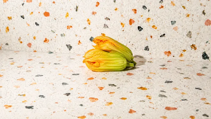 Squash Blossoms
