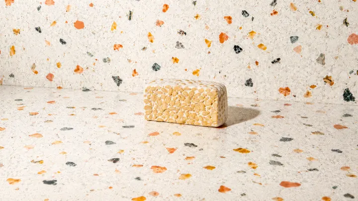 Tempeh