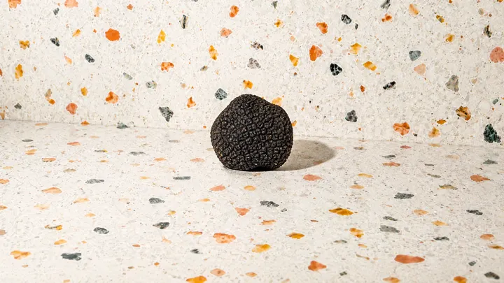 Truffle