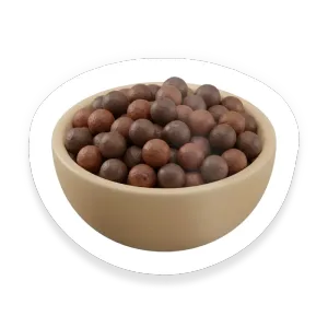 Allspice