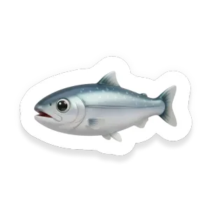 Anchovy