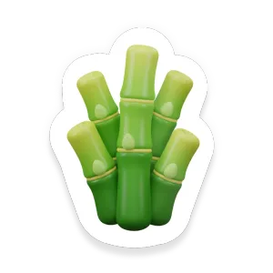 Bamboo