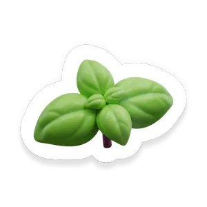 Basil