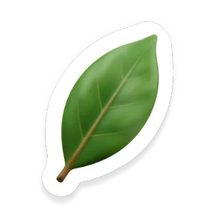 Bay Leaf