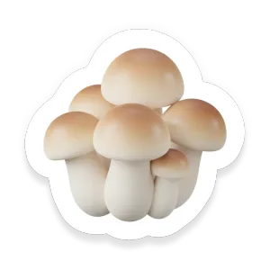 Beech Mushroom
