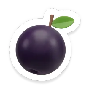 Black Elderberry