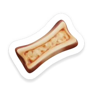 Bone Marrow
