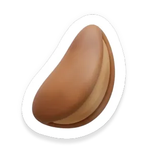 Brazil Nut
