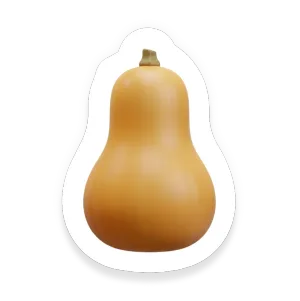 Butternut Squash