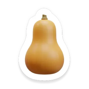 Butternut Squash