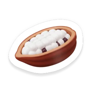 Cacao