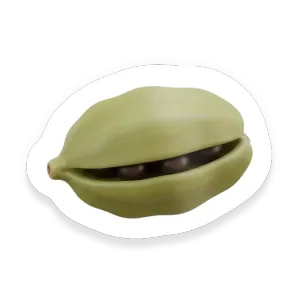 Cardamom