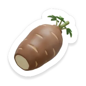 Cassava (Yuca)