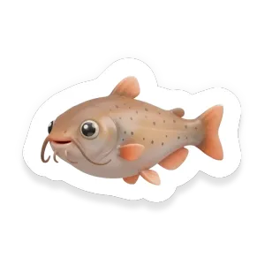Catfish