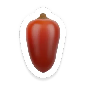 Chipotle Pepper