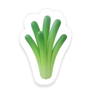 Chives