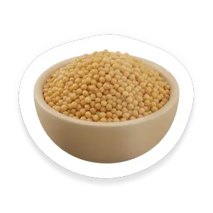 Couscous