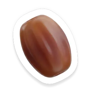 Dates