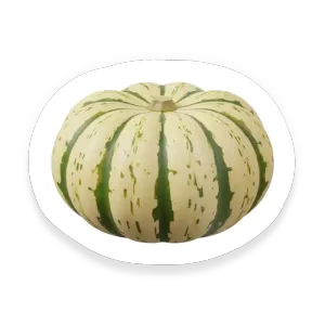 Delicata Squash