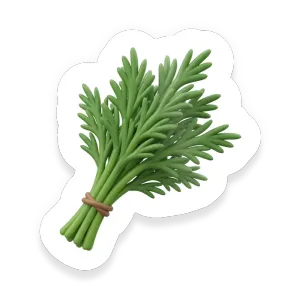Dill