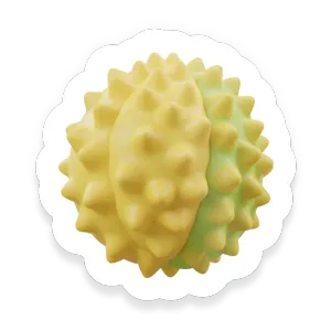 Durian